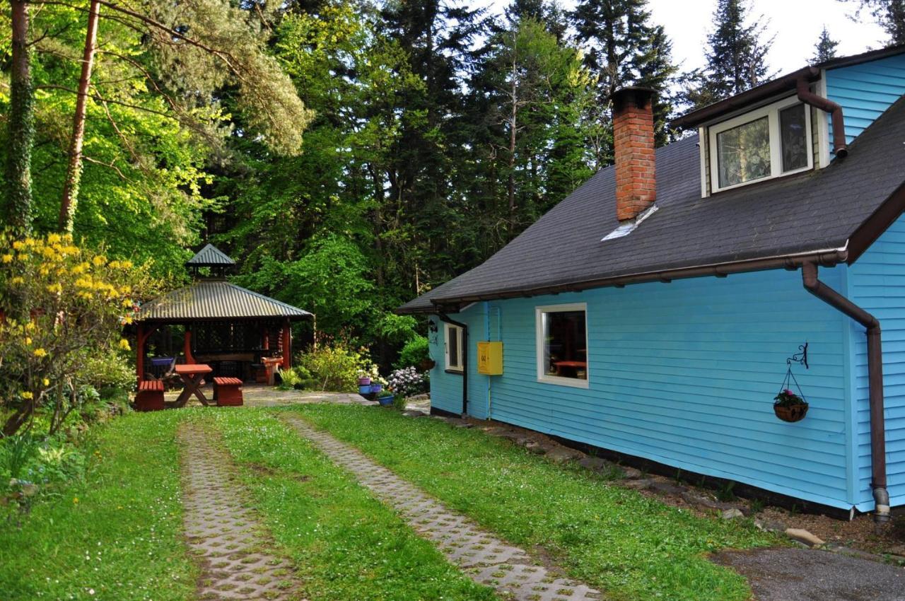 לסקו Domek Na Gorce Bieszczady מראה חיצוני תמונה