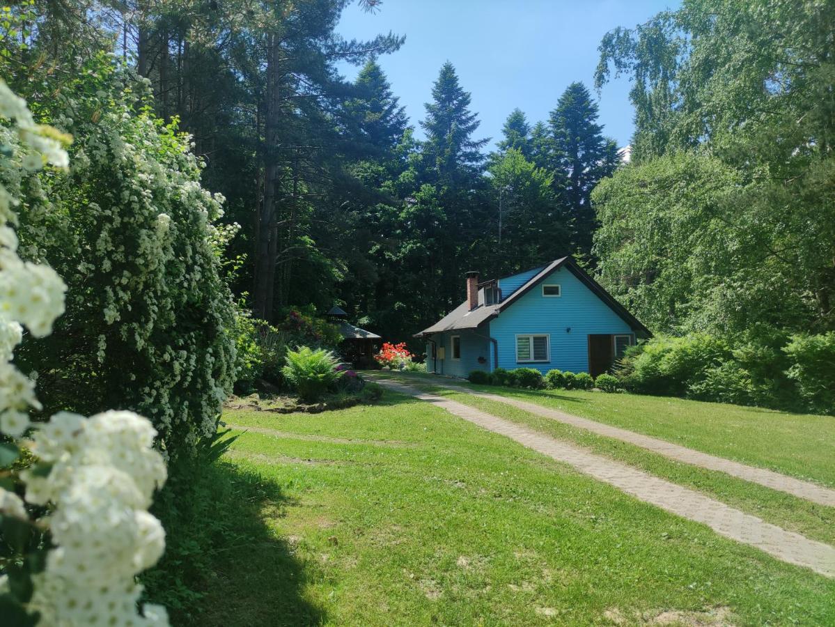 לסקו Domek Na Gorce Bieszczady מראה חיצוני תמונה